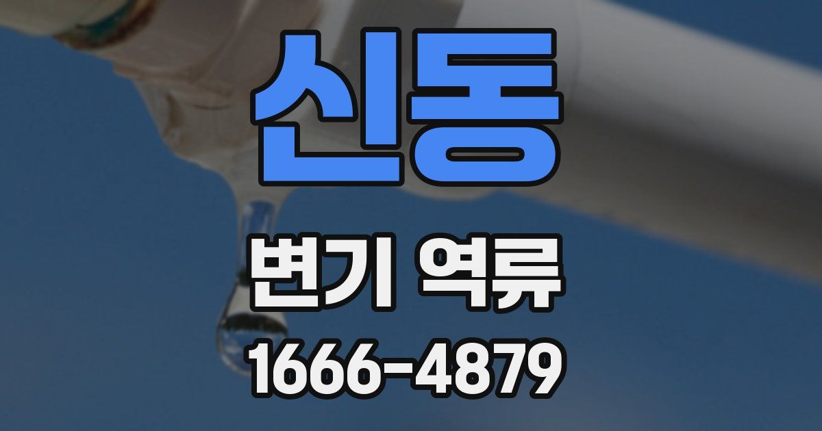 신동 변기 역류