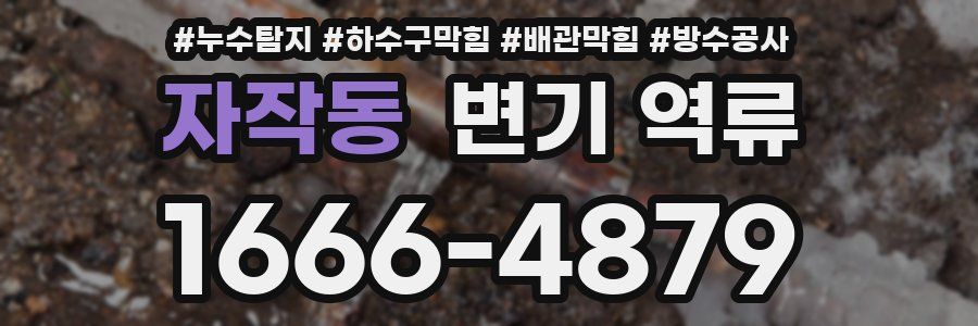 자작동 변기 역류