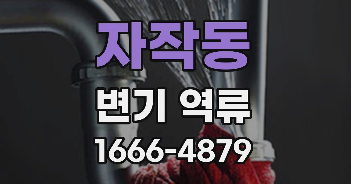 자작동 변기 역류