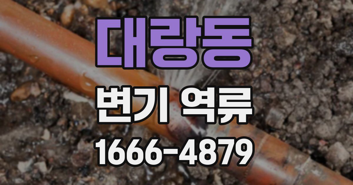 대랑동 변기 역류