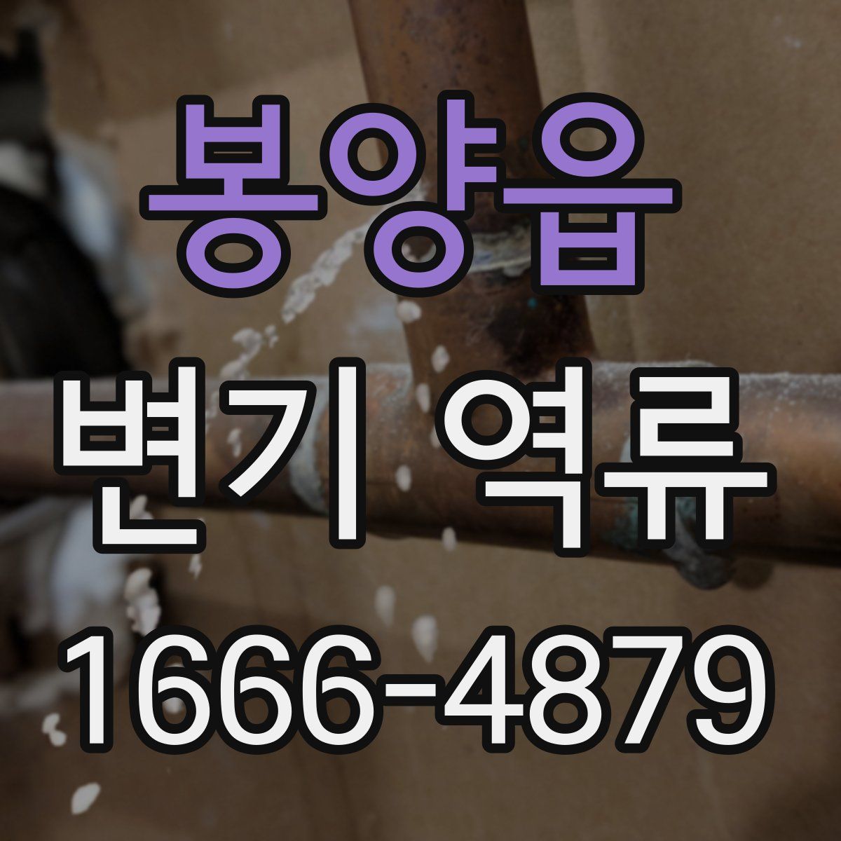 봉양읍 변기 역류