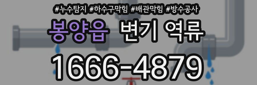 봉양읍 변기 역류