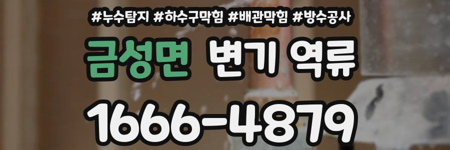 금성면 변기 역류