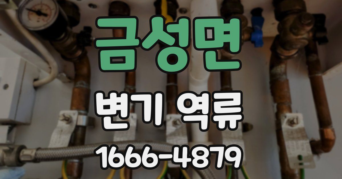 금성면 변기 역류