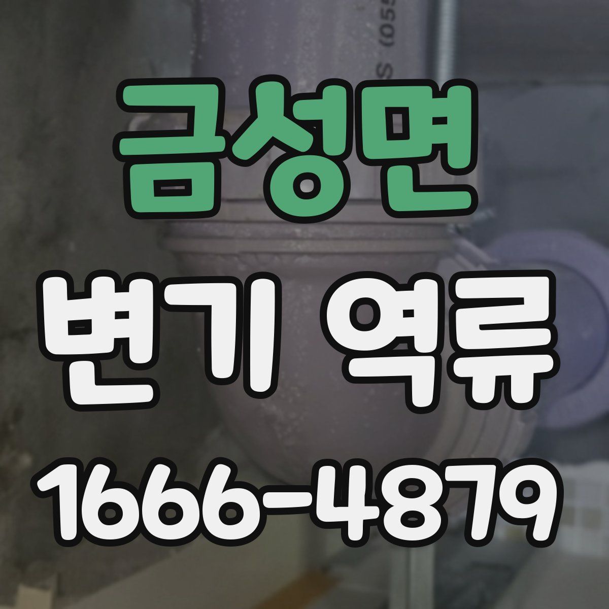 금성면 변기 역류