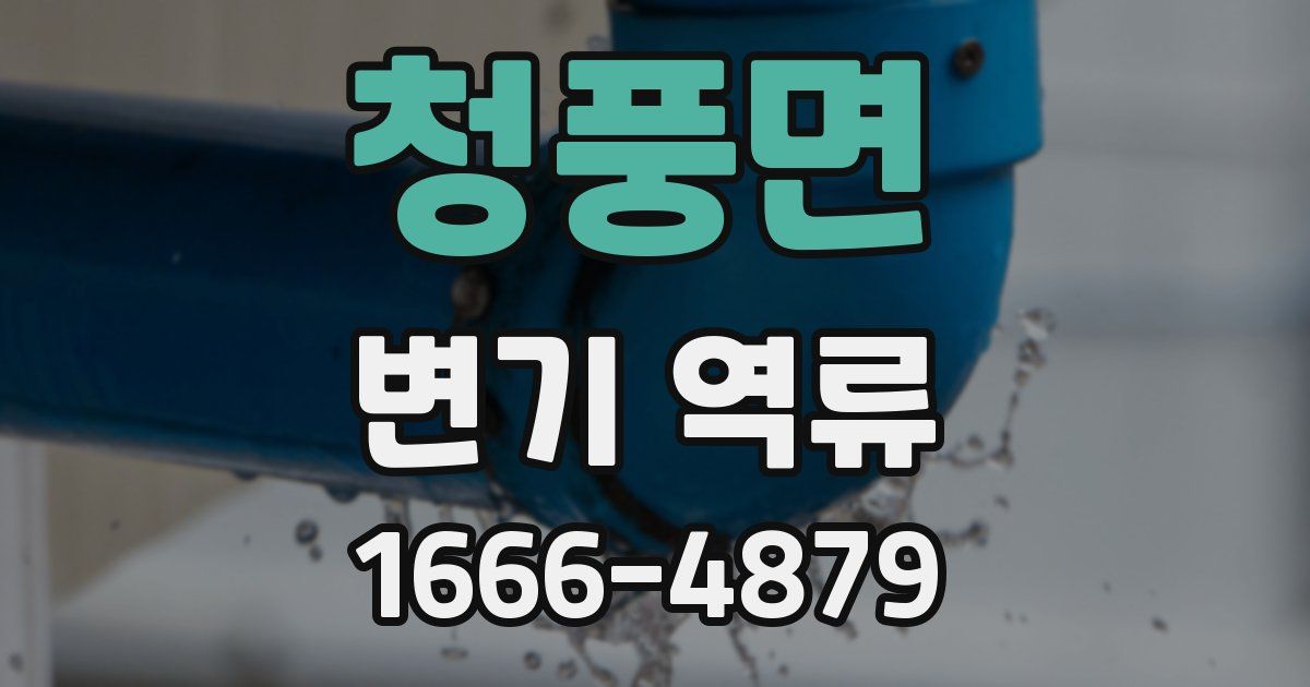 청풍면 변기 역류