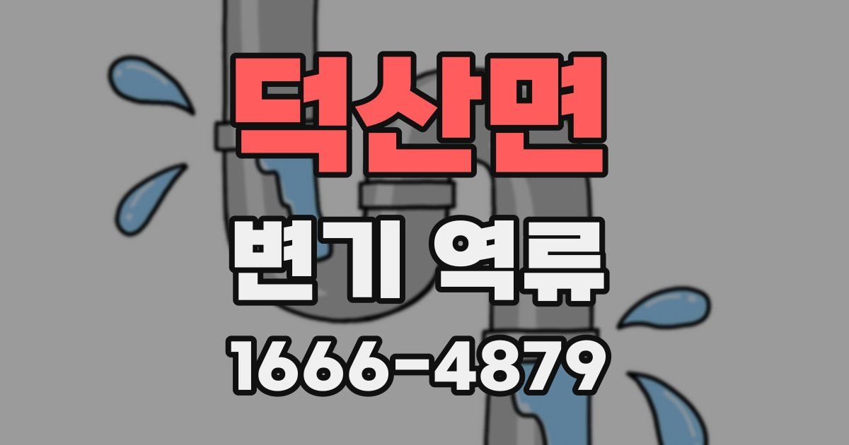 덕산면 변기 역류