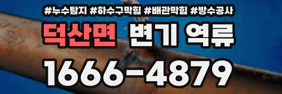 덕산면 변기 역류