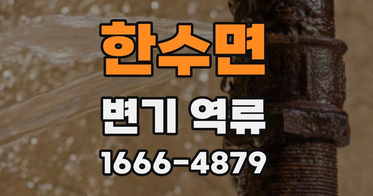 한수면 변기 역류