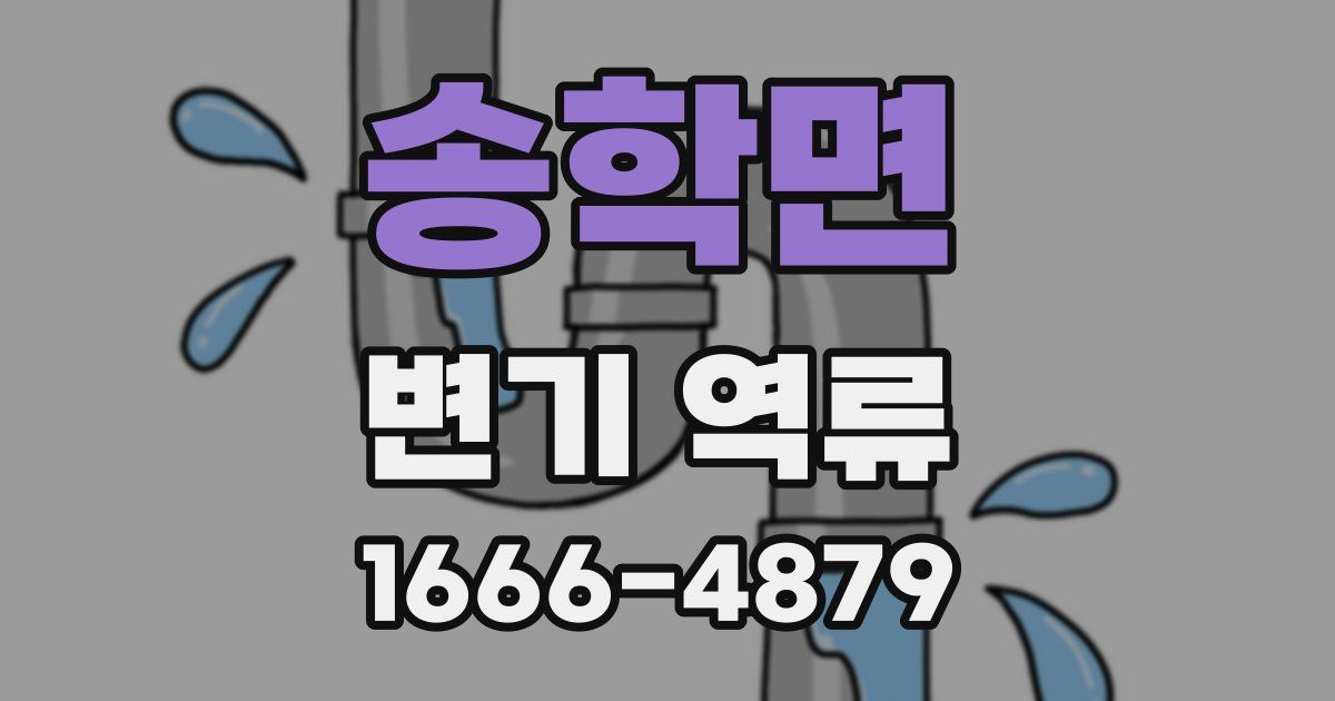 송학면 변기 역류