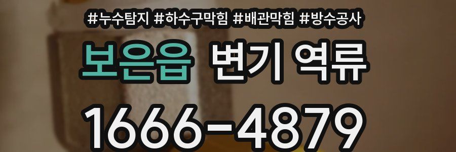 보은읍 변기 역류