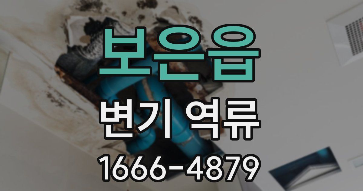 보은읍 변기 역류