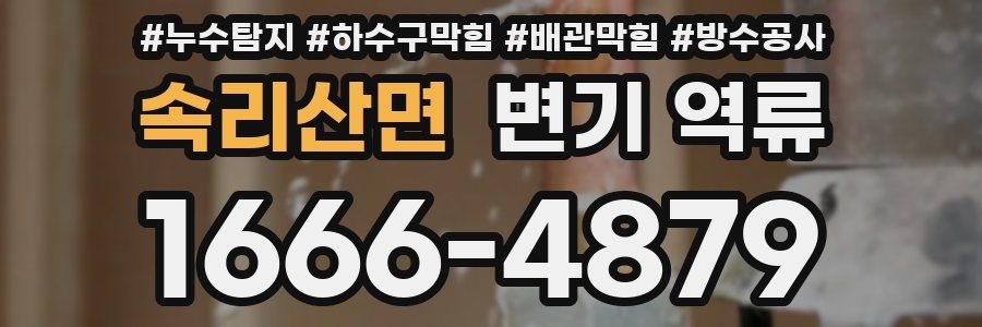 속리산면 변기 역류