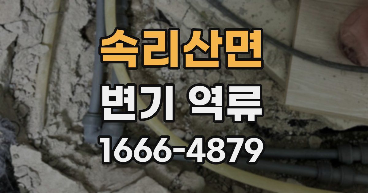 속리산면 변기 역류