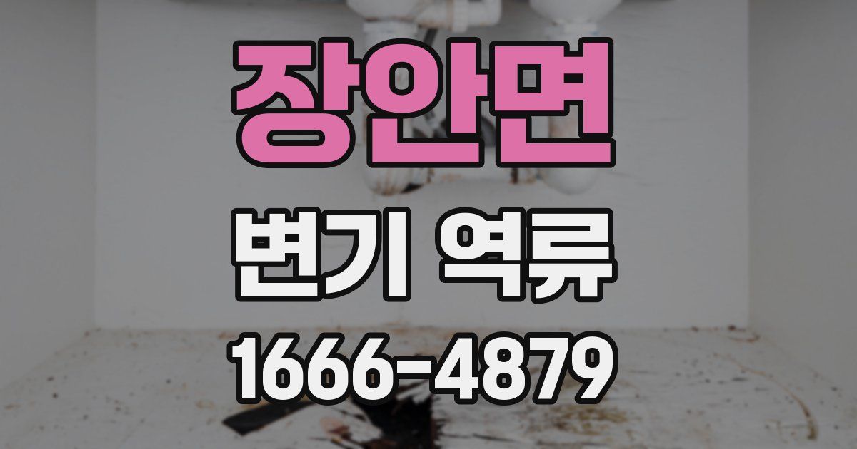 장안면 변기 역류