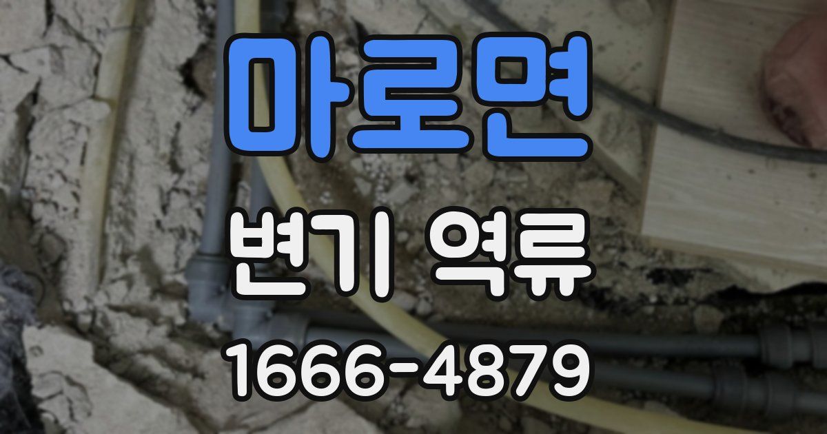 마로면 변기 역류