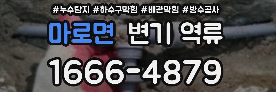 마로면 변기 역류