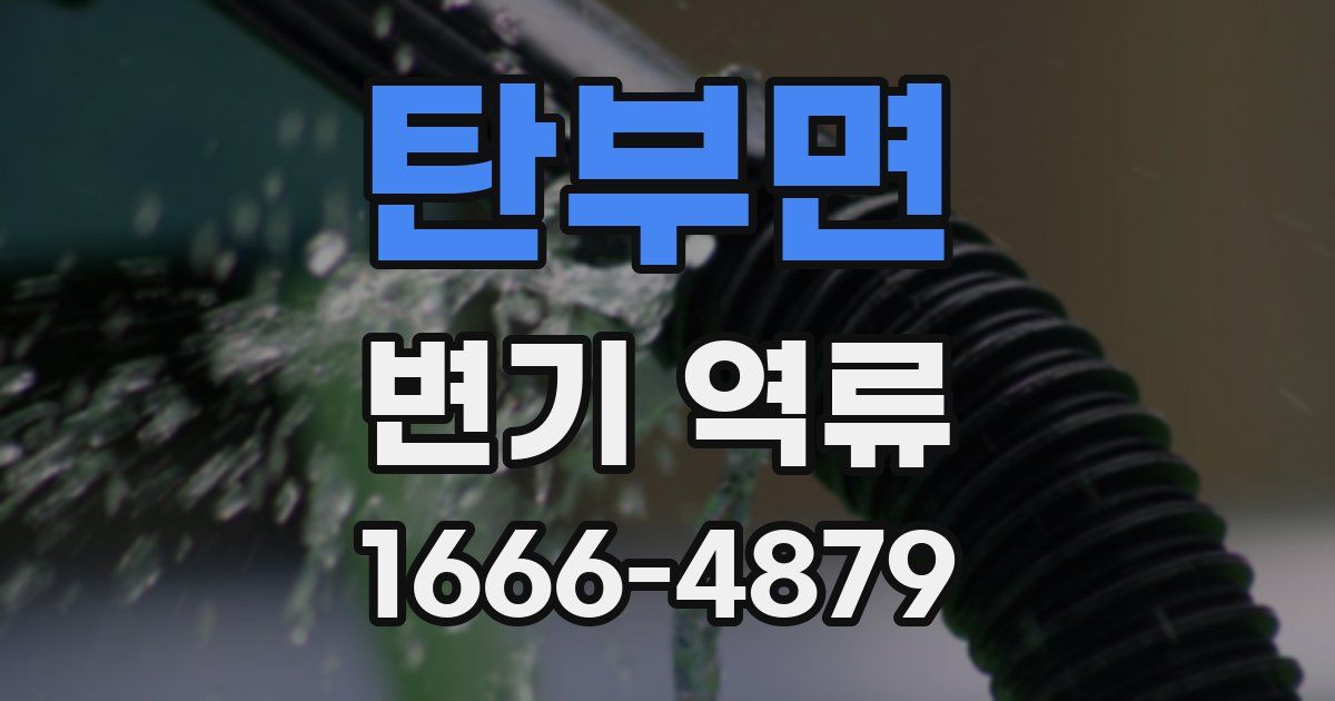 탄부면 변기 역류