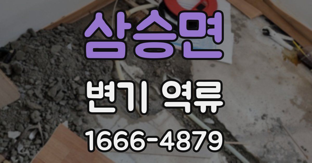 삼승면 변기 역류