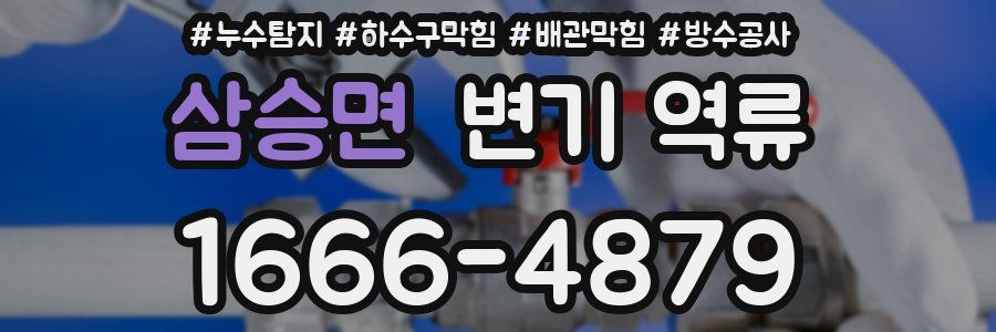 삼승면 변기 역류