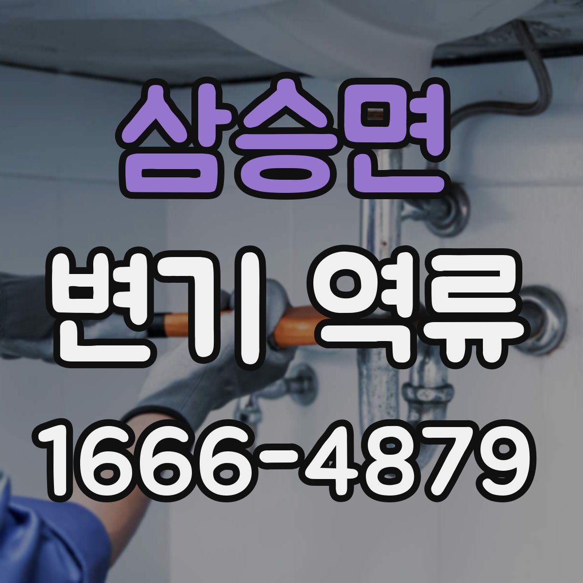 삼승면 변기 역류