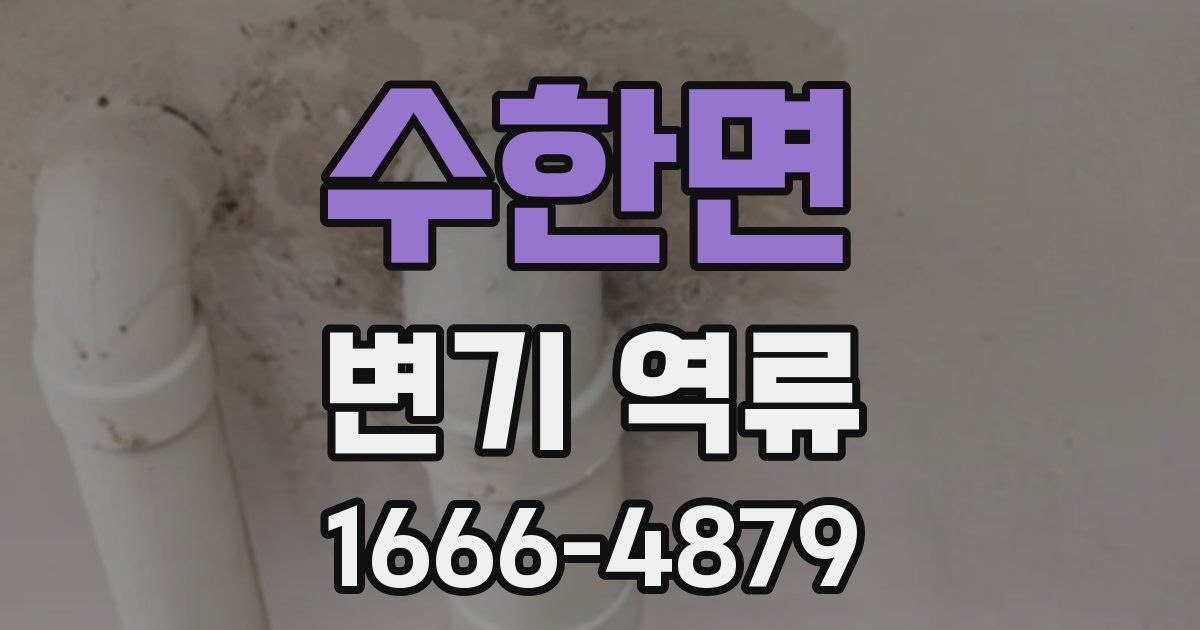 수한면 변기 역류