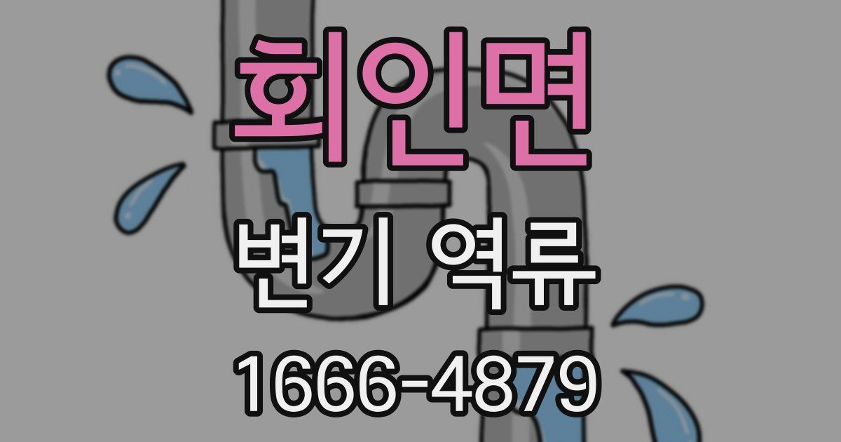 회인면 변기 역류