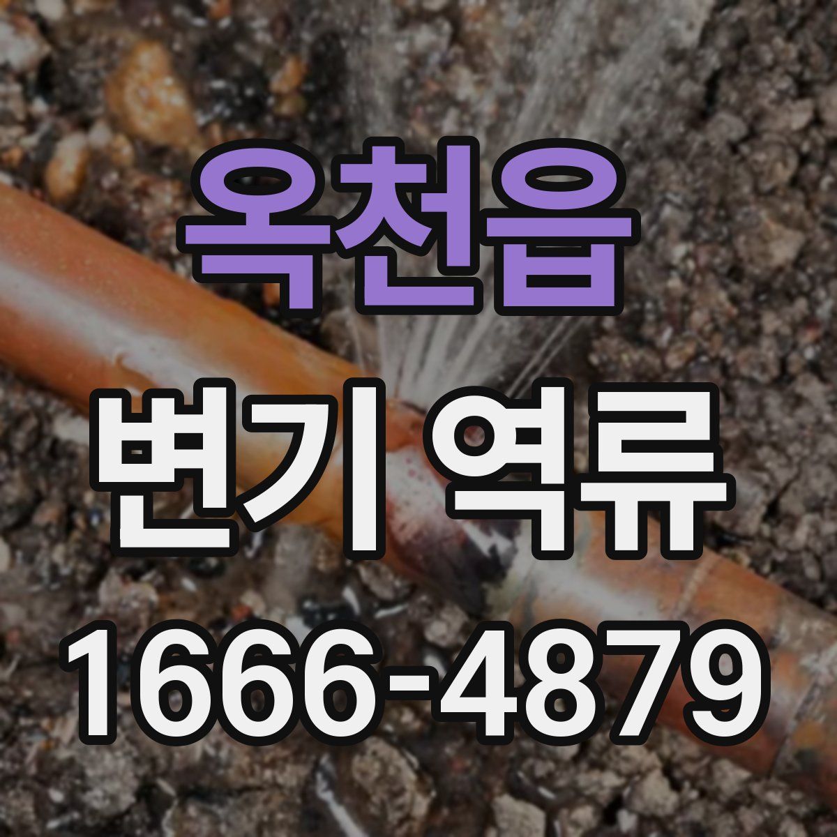 옥천읍 변기 역류