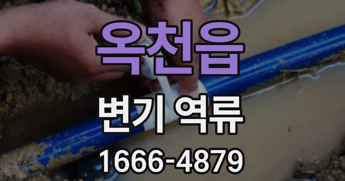 옥천읍 변기 역류