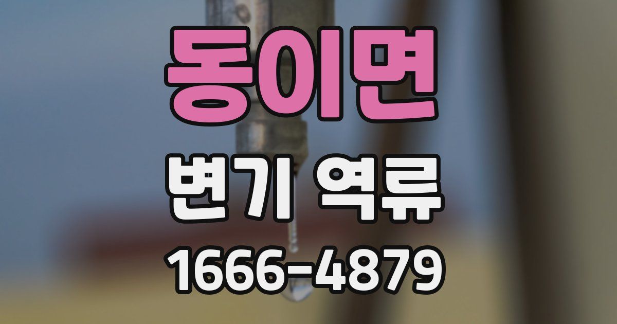 동이면 변기 역류