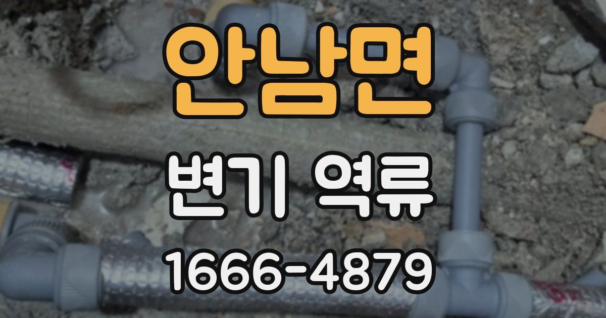 안남면 변기 역류