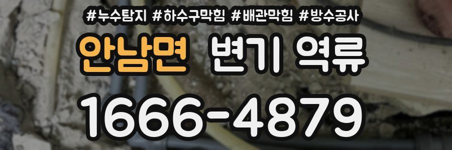 안남면 변기 역류