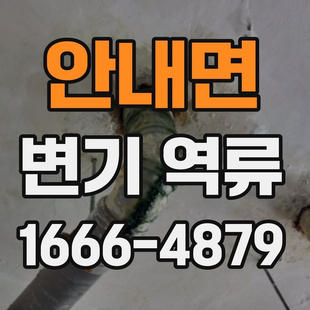 안내면 변기 역류 청소업체 부르기 전 준비할 내용