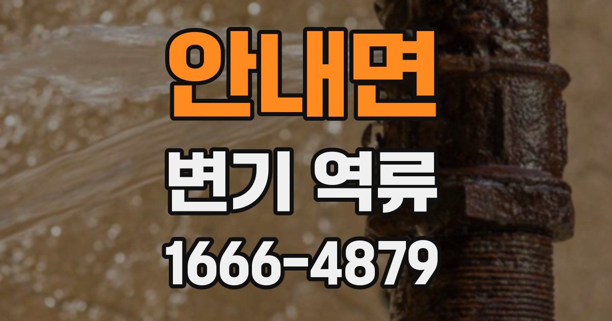 안내면 변기 역류