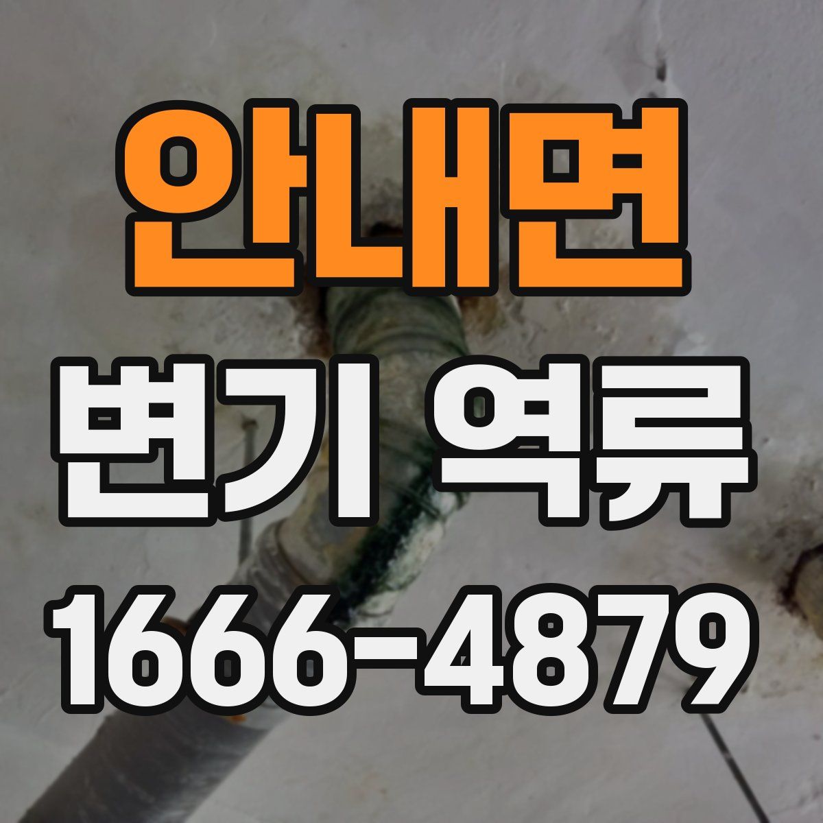 안내면 변기 역류