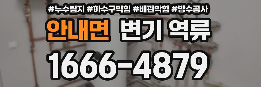 안내면 변기 역류