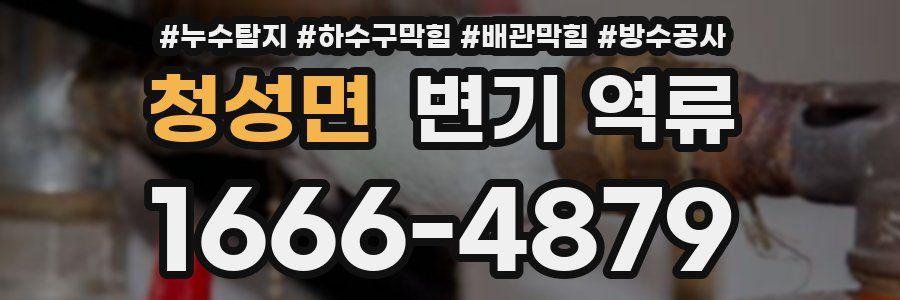 청성면 변기 역류