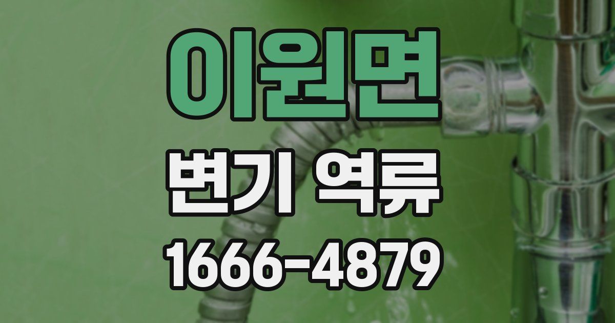이원면 변기 역류