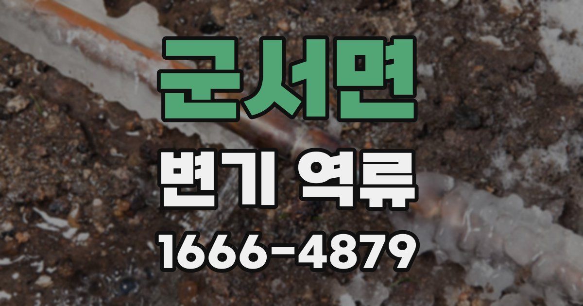 군서면 변기 역류