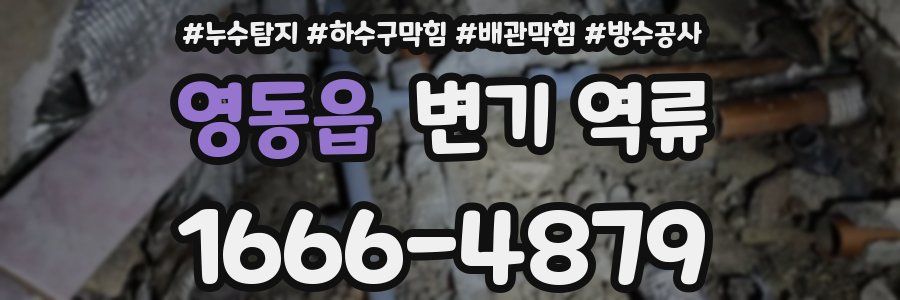 영동읍 변기 역류