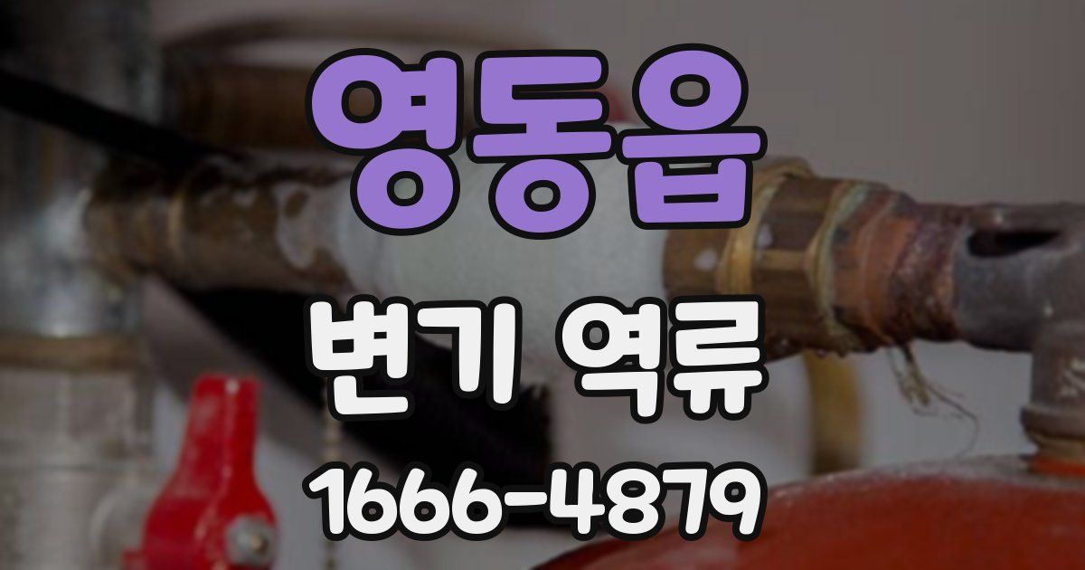 영동읍 변기 역류