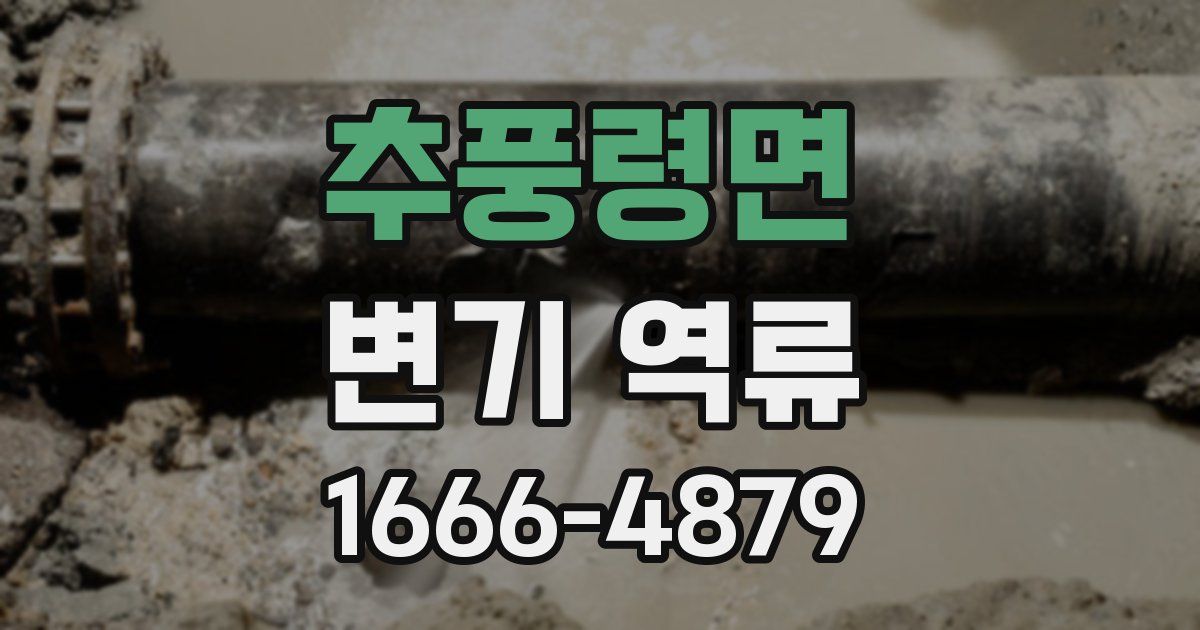 추풍령면 변기 역류