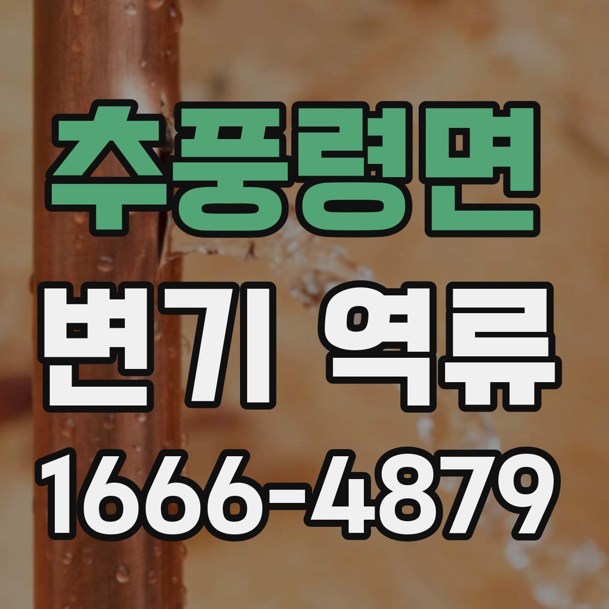 추풍령면 변기 역류