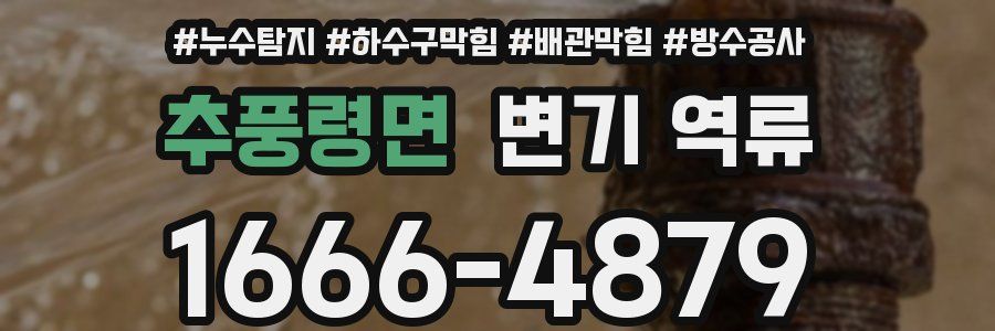 추풍령면 변기 역류