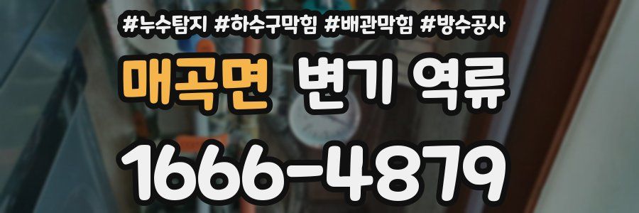 매곡면 변기 역류