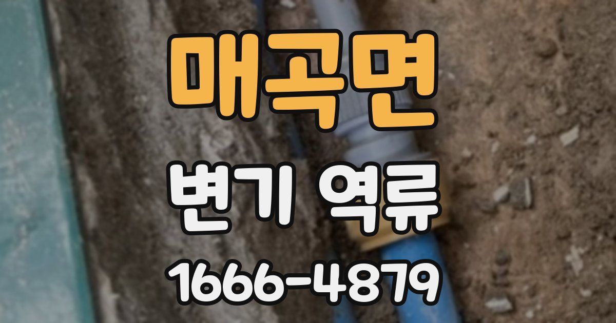 매곡면 변기 역류