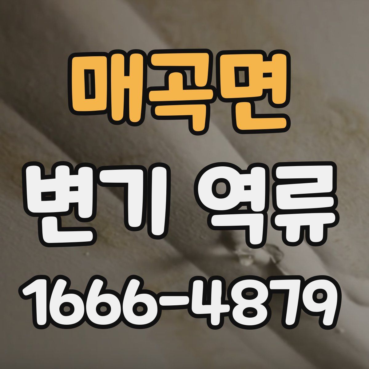 매곡면 변기 역류