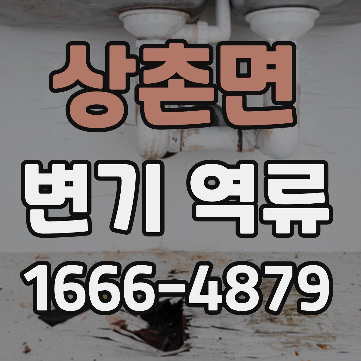 상촌면 변기 역류