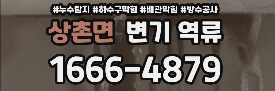상촌면 변기 역류