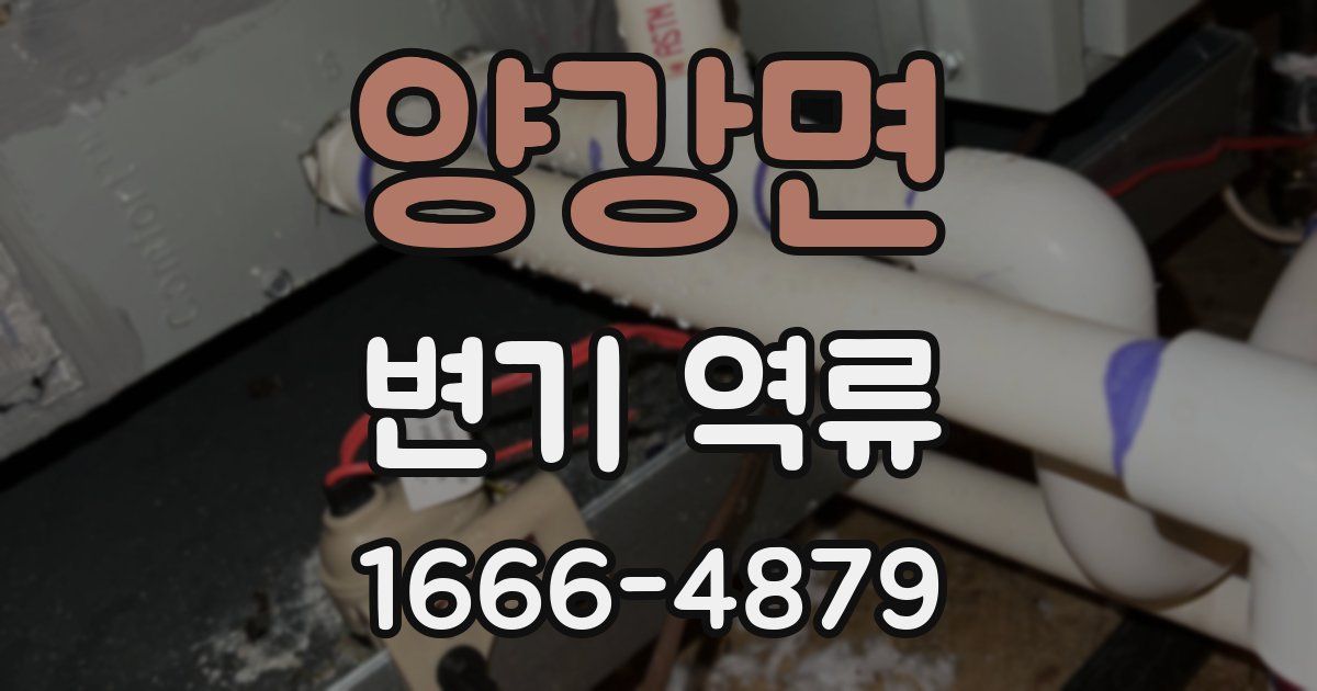 양강면 변기 역류